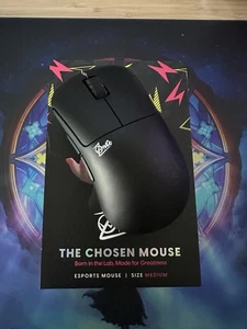 Pulsar Zywoo The Chosen Mouse Größe 2 (Medium) - wenig benutzt - Bild 1 von 4