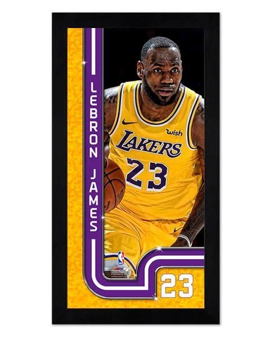 Los Angeles Lakers LeBron James 6.75" x 13 Mini Glass Front Frame NBA Basketball Cover
