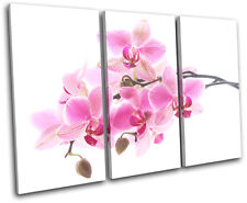 Orchids Flowers Floral TREBLE CANVAS WALL ART Picture Print VA