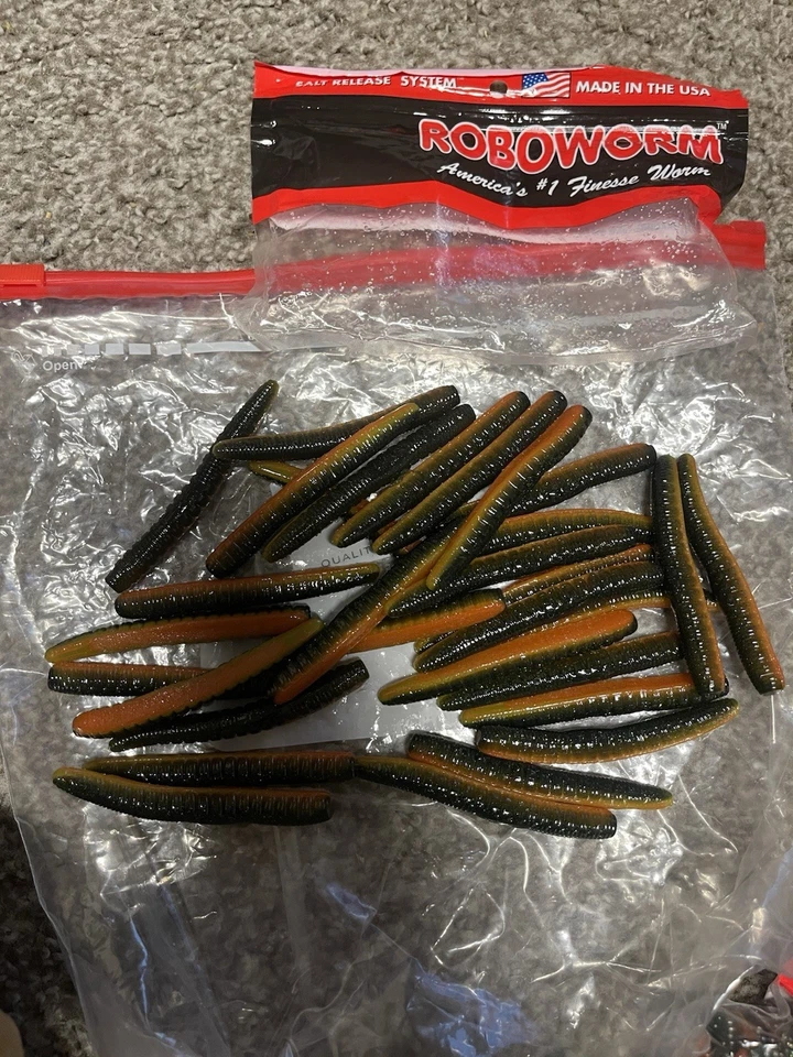 Roboworm - Image 1 of 1