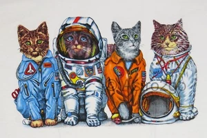 SPACE CATS--NASA Astronaut Flight Suits Astronomy Science 2 sided kids T shirt - Picture 1 of 4