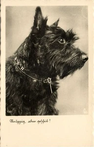 Dog Postcard Terrier (1930s) RPPC (6) - Picture 1 of 2