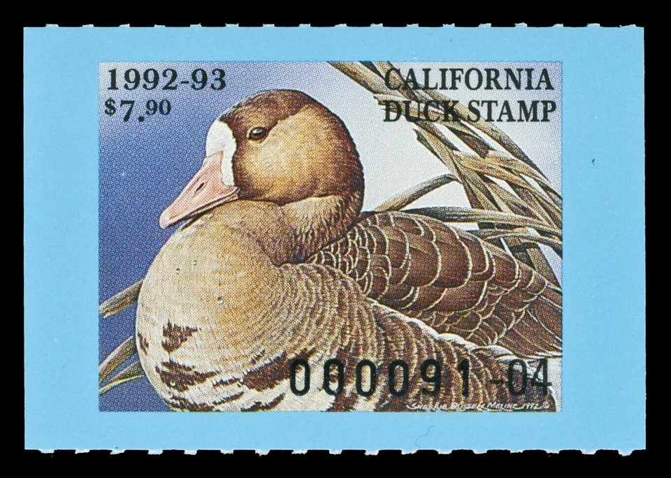 Scott CA23 1992 $7.90 California Duck Stamp Mint VF OG NH Cat $13 - Image 1 of 1