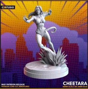 Cheetara - Picture 1 of 2