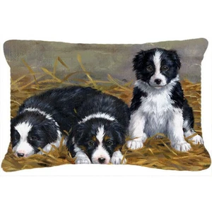 Carolines Treasures ASA2196PW1216 Border Collie Puppies Fabric Decorative Pillow - Picture 1 of 1