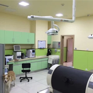 360° 36W Ceiling LED Shadowless Lamp Dental Surgery Auxiliary Lighting 90~240V - Bild 1 von 9