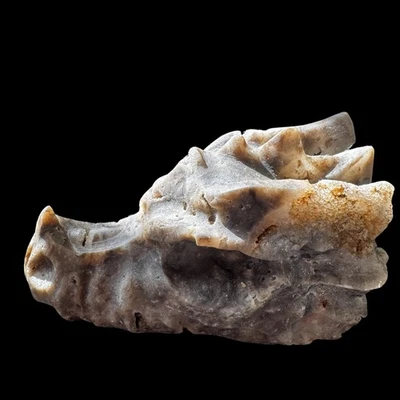 Unique Sphalerite Dragon Head Statue Manifestion Abundance Chakra Healing Decor - Image 1 of 4