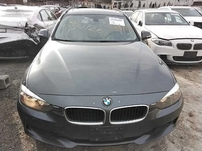 (LOCAL PICKUP ONLY) Hood Fits 12-18 BMW 320i 3064667 Foto 1 de 4