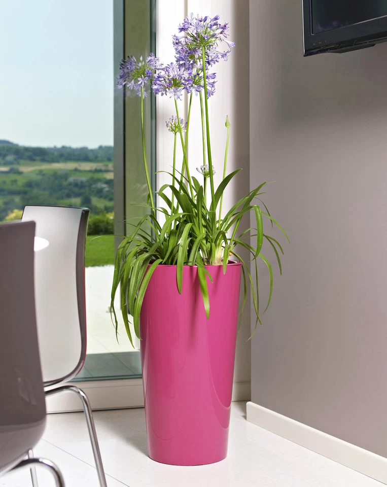 Euro3plast Pflanztopf Tuit Cyclamrot