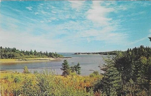 Vintage Canada Chrome Postcard Pocologan River New Brunswick - Picture 1 of 2
