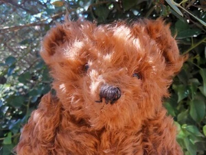 Ours ancien Pintel ! - Photo 1/16