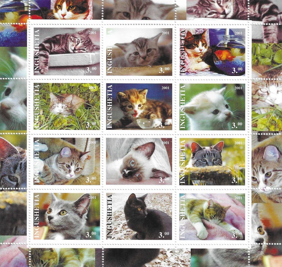 Kitten Cat Pedigree Cats Ingushetia Republic Mint MNH Sheet 2001 - Image 1 of 1