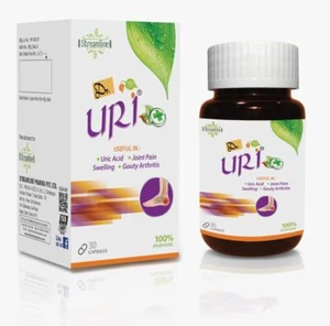 Ayurvedic Streamline Dr. Uri Joint Pain Capsules-30 Capsules - Picture 1 of 8
