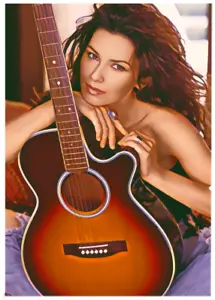 SHANIA TWAIN * ACEO personalizzato * novità * MUSIC ARTIST * carta artistica * ATC - Foto 1 di 2
