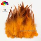 100 pièces teintes coq multicolore plumes plumage carnaval