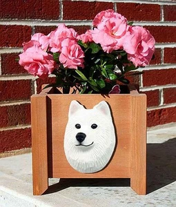 Maceta de maceta de samoyedo - Imagen 1 de 1