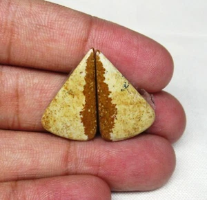 Picture Jasper Gemstone Pair 18.30 ct Natural Loose Gemstone Cabochon G 2132 - Picture 1 of 3