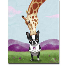 Giraffe Kisses by Brian Rubenacker Gallery-Wrapped Canvas Giclee (20 in x 16 in)