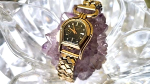 Rare Vintage Clinton Horse Shoe Hand wind Black Jeweled Dial Womens Watch  - Picture 1 of 11