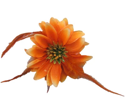 Beautiful Orange Double-Sided Flowers w/ Glitter & Matching Feathers Hair Clip Foto 1 de 3