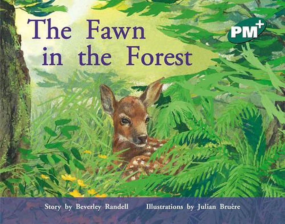 The Fawn in the Forest 1st Edition by Annette Smith (English) Paperback Book - Image 1 of 1