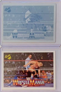 1/1 JIM DUGGAN vs DINO BRAVO 1990 CLASSIC WWF #118 CARD PRINTING PLATE WRESTLING - Picture 1 of 3