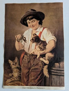 Vintage Print Enjoying Carlo's Perplexity Boy, Suspenders, Hat, Dog, Cat, Crab - Picture 1 of 4