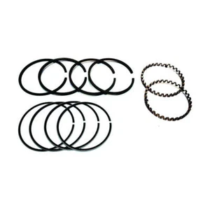 Fortpro Tu-Flo 501 Air Compressor Piston Ring Set - 010 | F224869-010 - Foto 1 di 1