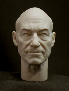 Patrick Stewart X MEN  RESIN HEAD SCULPT Action figures 1/6 scale ( BIG SIZE) - Picture 1 of 3