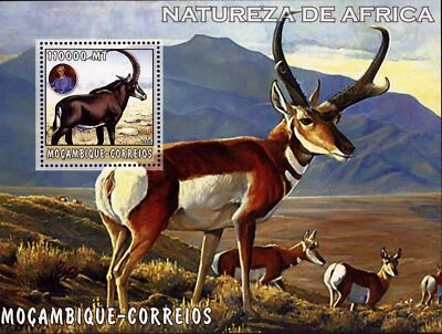 Hoja de recuerdo de la naturaleza africana sello cuerno Ibex Alphine como nueva Foto 1 de 4