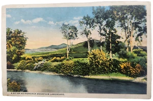 A Bit of Adirondack Mountain Landscape Linen Postcard 1916 Postmark - Picture 1 of 2