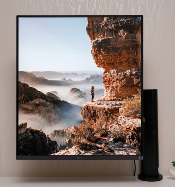 LG 28MQ780 DualUp Monitor 28" SDQHD 2560×2880 Nano IPS UltraWide Display - Image 1 of 1