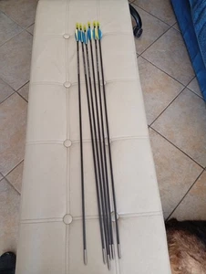 6 Frecce Arco Adulto 32" 300c - Imagen 1 de 5
