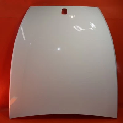 ROLLS ROYCE SPECTRE HOOD 2024 2025 OEM Foto 1 de 4