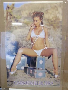 vintage Carmen Electra Luggage Original Poster 2004 17020 - Picture 1 of 5