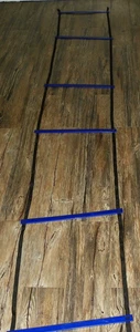 20ft Agility Ladder - Picture 1 of 6