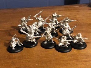 Warmachine Protectorate of Menoth Idrian Skirmishers and Chief PIP32101+42010 - Picture 1 of 1
