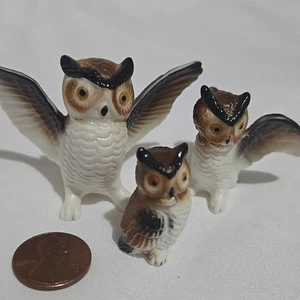 lotto bone china miniatura famiglia gufo finitura opaca - Foto 1 di 5