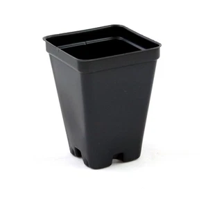 Grower's Solution 2.5 inch Square Greenhouse Pots - Black - Plastic - Deep - ... - Picture 1 of 2