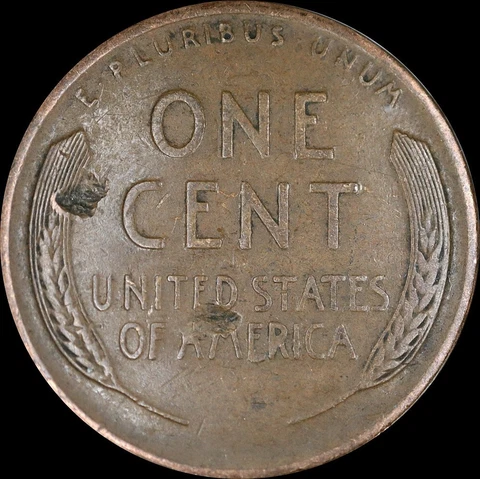 1929 d wheat cent error - Strikethrough Cover
