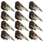 12Pcs Clip On Fake Sparrow Bird Decor Artificial Feathered Foam Bird Clip On ...