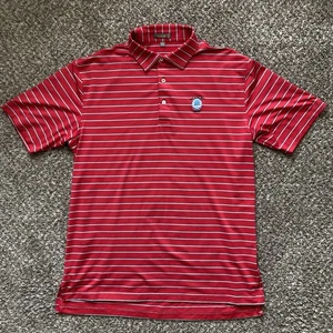 Peter Millar Shirt Men Large Red Green Stripe Polo Summer Comfort Sycamore Hills - Picture 1 of 8