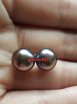 stunning AAAA Tahitian 10-11mm black pearl earrings 14k gold nice stud earrings - Image 1 of 4
