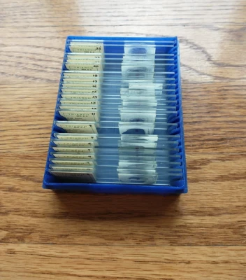 Human Histology Red Bone Marrow Lot/21 Triarch/Conant Prepared Microscope Slides - Image 1 of 4