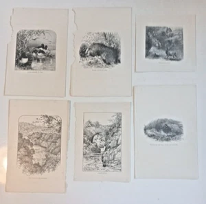 6 x Vintage Whymper Drucke aus einem beschädigten Buch von 1907 Seitengrößen 8 Zoll x 5 Zoll - Bild 1 von 13