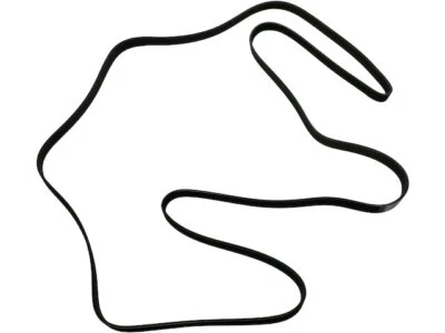 Cinturón multi costilla para Chevrolet Express 2500 1997-2002 2015 76238DW 1998 1999 2000 Foto 1 de 2