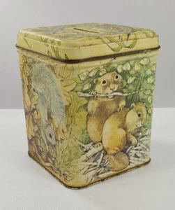 Vintage Hallmark latta quadrato risparmio moneta bosco scoiattolo castoro procione - Foto 1 di 14