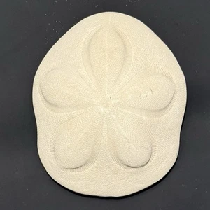 Large Puffy Sea Biscuit Sand Dollar Fossil Seashell Nautical Ocean Beach Decor - Picture 1 of 8