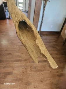 Large Hollow Log Driftwood 30+ Inches Gorgeous Swirling Patterns - Picture 1 of 7