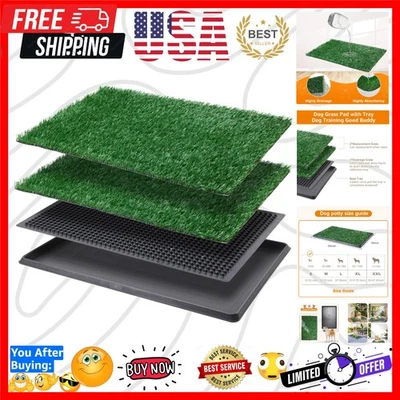 Caja de arena para perros de 16x20 pulgadas con dos almohadillas de césped - Ideal para apartamentos y viajes Foto 1 de 4